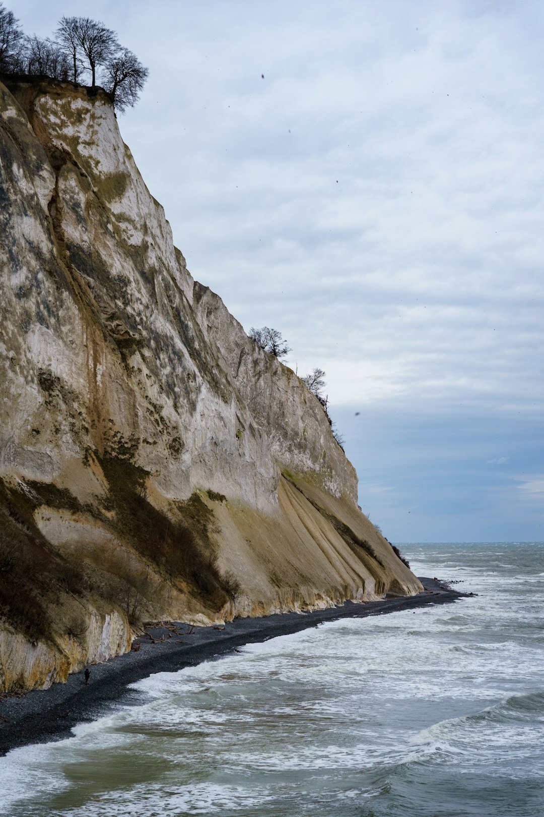 White chalk cliffs on the Danish coast